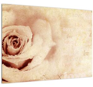 Obraz - Květ růže pro zamilované (70x50 cm)