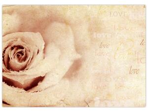 Obraz - Květ růže pro zamilované (70x50 cm)