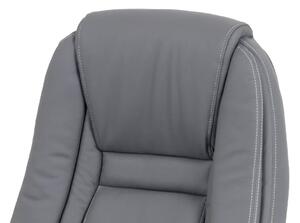 Autronic Kancelářská židle Ka-g301 Grey