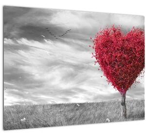 Obraz - Srdce korunou stromu (70x50 cm)