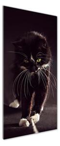 Foto obraz sklo tvrzené Černá kočka pl-osh-50x125-f-119089470