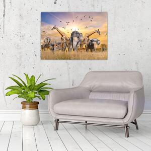 Obraz - Africká zvířata (70x50 cm)