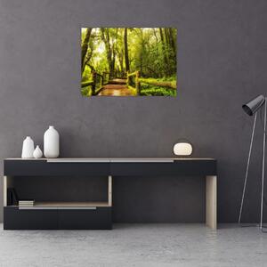 Obraz mechové džungle (70x50 cm)