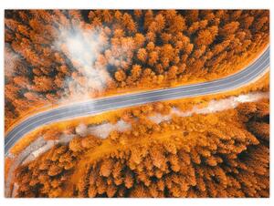 Obraz - Horská silnice (70x50 cm)