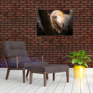 Obraz sovy pálené (70x50 cm)