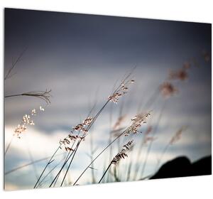 Skleněný obraz - Luční kvítí u jezera (70x50 cm)