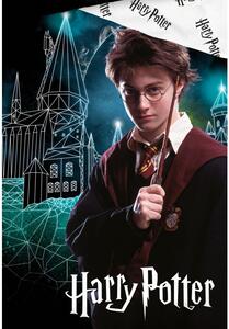 Bavlněné povlečení 140x200 + 70x90 cm - Harry Potter Kouzelné Bradavice