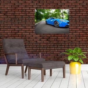 Skleněný obraz - Závodní auto (70x50 cm)