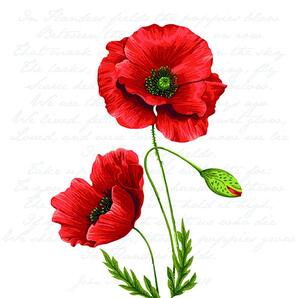 Ubrousky Proud Poppy 3400105