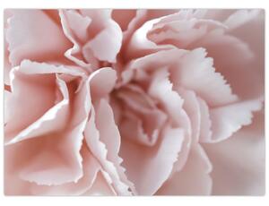 Skleněný obraz - Detail květu (70x50 cm)