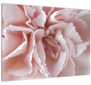 Skleněný obraz - Detail květu (70x50 cm)