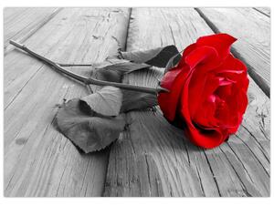 Obraz rudé růže (70x50 cm)