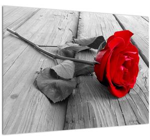 Skleněný obraz rudé růže (70x50 cm)
