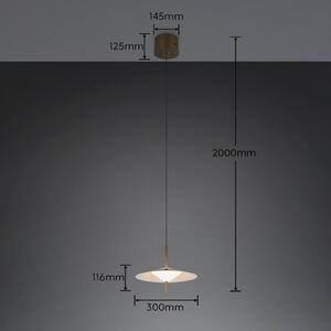 Trio Lighting Závěsné světlo Amalo, platinová barva, Ø 30 cm, kov,, stmívatelný, Hliník / šedá / zinek, Obývací pokoj / jídelna, kov, Moderní