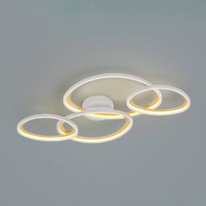 Trio Lighting LED stropní svítidlo Sivo, délka 103 cm, matná bílá, kov, CC, stmívatelný, Bílá / opál, Obývací pokoj / jídelna, kov