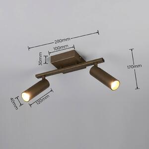 Trio Lighting Stropní bodové světlo Dara, délka 28 cm, platinová barva, kovový, 2ramenný., Hliník / šedá / zinek, Obývací pokoj / jídelna, kov, Moderní