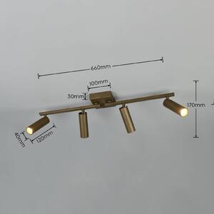 Trio Lighting Stropní bodové světlo Dara, délka 66 cm, platinově zbarvený kov, 4ramenný, Hliník / šedá / zinek, Obývací pokoj / jídelna, kov, Moderní
