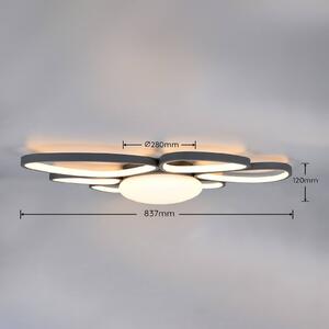 Trio Lighting LED stropní svítidlo Amelio, černé, 85 cm, dálkové ovládání, stmívatelný, Bílá / opál, Obývací pokoj / jídelna, Plast, Moderní