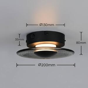Trio Lighting LED nástěnné světlo Sirena, černá/kouřově šedá, Ø 20 cm, sklo,, stmívatelný, Černá, Obývací pokoj / jídelna, kov