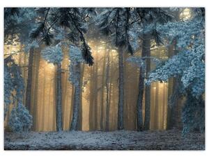 Obraz zasněženého lesa (70x50 cm)