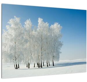 Obraz zasněžené krajiny (70x50 cm)