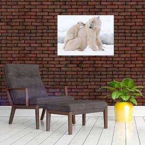 Obraz - Lední medvědi (70x50 cm)