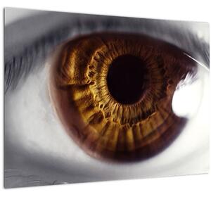 Skleněný obraz - Oko (70x50 cm)