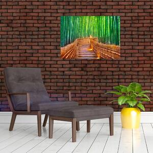 Skleněný obraz - Japonský bambusový les (70x50 cm)