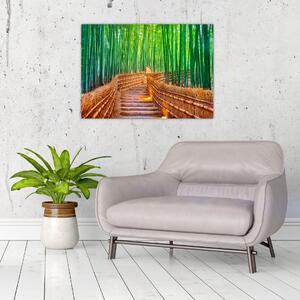 Skleněný obraz - Japonský bambusový les (70x50 cm)
