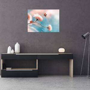 Obraz - Berušky na květu (70x50 cm)