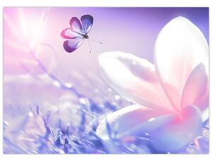 Obraz - Motýl přilítající na květ (70x50 cm)