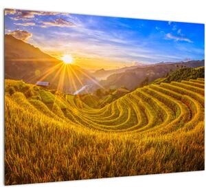 Obraz - Rýžové terasy ve Vietnamu (70x50 cm)