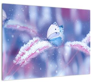 Skleněný obraz - Motýli v zimě (70x50 cm)