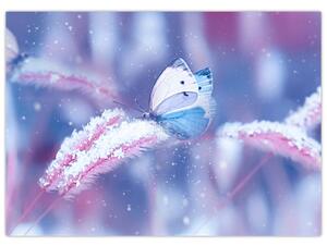 Obraz - Motýli v zimě (70x50 cm)