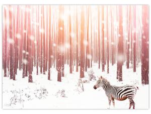 Obraz - Zebra v zasněženém lese (70x50 cm)