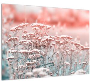 Obraz - Luční květy (70x50 cm)