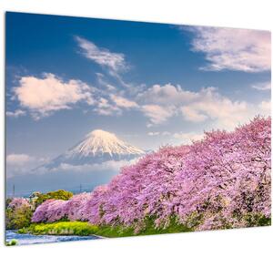 Obraz - Japonská jarní krajina (70x50 cm)