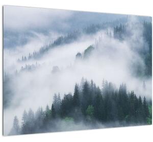 Skleněný obraz - Stromy v mlze (70x50 cm)