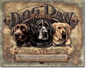 Plechová cedule DOG DAY ACRES FRIENDS WELCOMED, (41 x 30 cm)