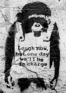 Plakát, Obraz - Banksy street art - chimp, (42 x 59 cm)