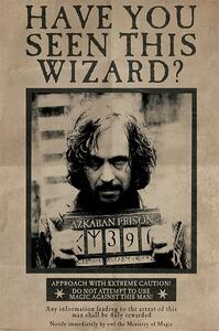 Plakát, Obraz - Harry Potter - Wanted Sirius Black, (61 x 91.5 cm)