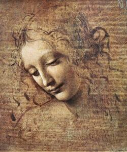 Leonardo da Vinci - Obrazová reprodukce Leonardo da Vinci - Hlava ženy, (35 x 40 cm)