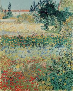 Vincent van Gogh - Obrazová reprodukce Garden in Bloom, Arles, July 1888, (30 x 40 cm)