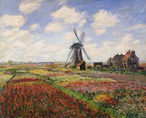 Claude Monet - Obrazová reprodukce Tulip Fields with the Rijnsburg Windmill, 1886, (40 x 35 cm)