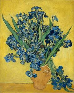 Vincent van Gogh - Obrazová reprodukce Irises, 1890, (30 x 40 cm)