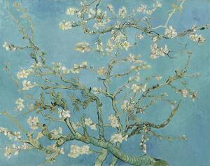 Vincent van Gogh - Obrazová reprodukce Vincent van Gogh - Květoucí větve mandlovníku, (40 x 30 cm)