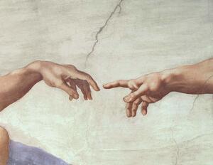 Michelangelo Buonarroti - Obrazová reprodukce Hands of God and Adam, detail, (40 x 30 cm)