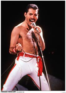 Plakát, Obraz - Queen (Freddie Mercury) - Los Angeles 1982, (59.4 x 84 cm)
