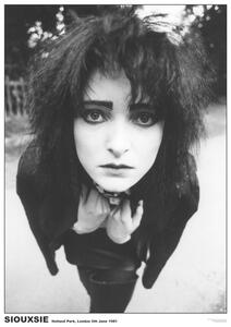 Plakát, Obraz - Siouxsie & The Banshees - London ’81