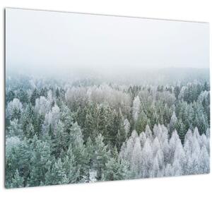 Skleněný obraz - Zasněžené vrcholky lesů (70x50 cm)